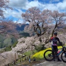 ひょうたん桜ライド2026