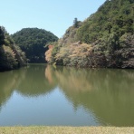 温泉めだかのブログ