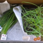 ６５過ぎても未熟が過ぎる