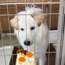 １才の誕生日