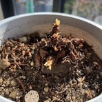 酒呑老女のマラソン人生は終わりその後の日々