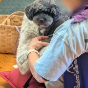 �����꤬����/ �����ޤ���