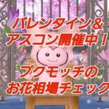 『バレンタイン＆アスコン開催中！プクモッチのお花相場チェック』の画像