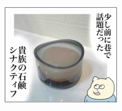 貴族の石鹸・シナクティフレポ