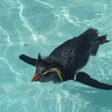 『ちょっと一休み』の画像