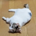 そんな怒らんでもな…