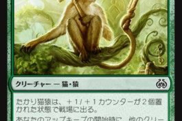 初心者mtg女子奮闘記 デュエルマスターズ