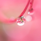 『雨が好き』の画像