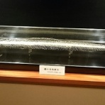 日々是好日