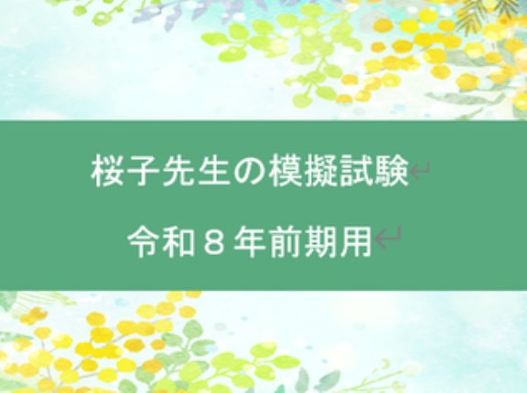模擬試験の発売が開始されました