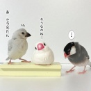 兄としての門出