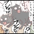 うちの飼い猫、ご乱心！？のまき