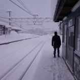『もうすぐ、ブログもお引っ越しですね・・・』の画像