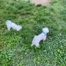 そらちゃん初めての旅行　れい&そら旅