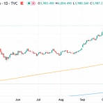 村越誠の投資資本主義