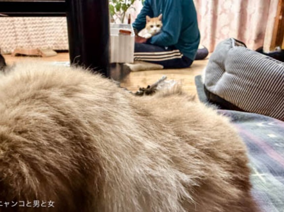 厳しい目