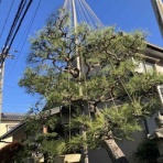 僧侶でアナウンサー川村妙慶の日替わり法話