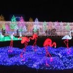 凸こころのひとり日記凹