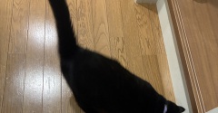 遊ぶシニアとだらける若者