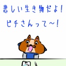 見かけ