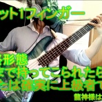 徒然なるままに...文鳥。