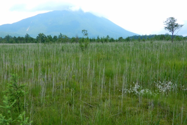 塩原温泉 彩つむぎ 女将の独り言 奥日光戦場ヶ原