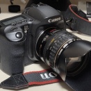 オールド一眼連の写りや如何