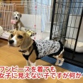 思いがけない診察