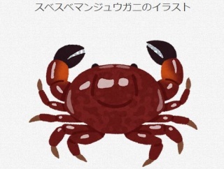 スベスベマンジュウガニって名前のインパクトでウケただけやろ