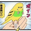 【？】カチョさんの垂直跳び