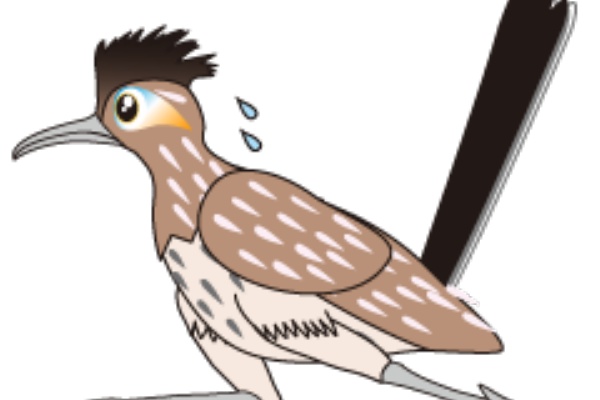 Lineスタンプ 今週の新作 爆走する世界最速の鳥 ロードランナー です Studio Gingerのlineスタンプ日記