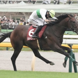 ☆うまなみ・競馬にゅーす速報