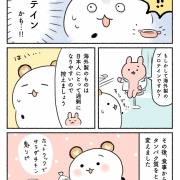 プロテインで肝臓いためた話