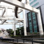 江戸川の畔（ほとり）