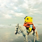 ふなっしーインENGLISH!