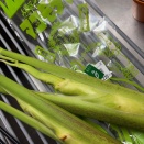 豚トロとマコモだけとサツマイモの炒め物　タコのカルパッチョ