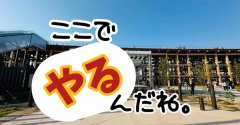 抜け殻ママ。次のお仕事はコレ。