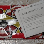 日頃のママ日記