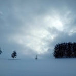 日新運輸株式会社　社長ブログ