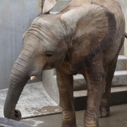 砥愛ちゃん、まだまだ上っています！下りています！