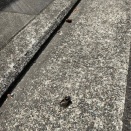 季節を感じます。