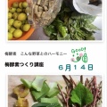 先週のベスト５！　内側から、外側から滋養しよう