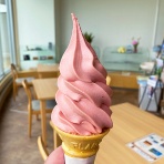 あなたは『おもしろマガジン』