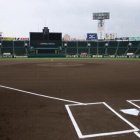 livedoor