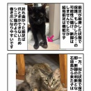 断脚手術or脚の温存