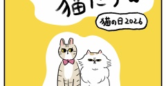 うちの猫たち〜猫の日2026〜