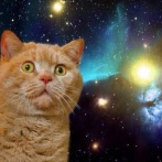 アメリカ「冷凍七面場をそのまま揚げるな！」と何度も警告しても毎回火災が起きる → とんでもない対策に出るｗｗｗｗ