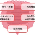 治療と運動｜ATTiVO（アッティーボ）/大阪