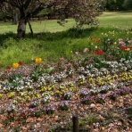 ニッポンランナーズ（柏の葉）