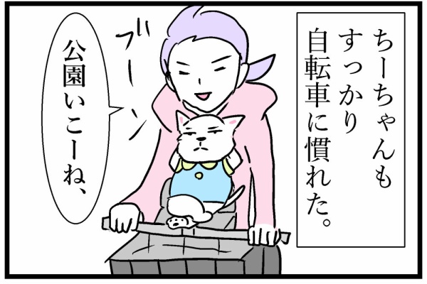 ちーちゃんです。 ちーちゃんですけどもっ！ 第1巻 | おます |本 | 通販 | Amazon